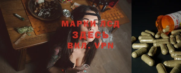 марки nbome Богданович