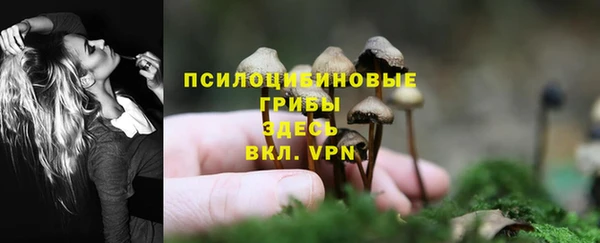 скорость Богородск
