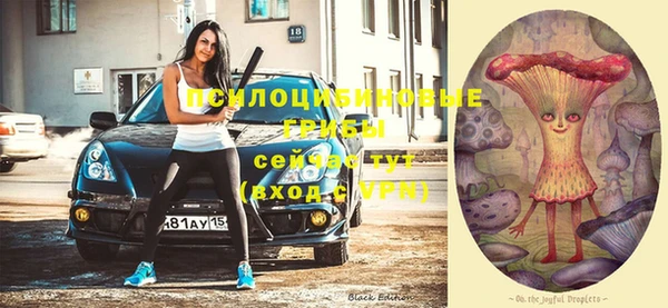 скорость Богородск
