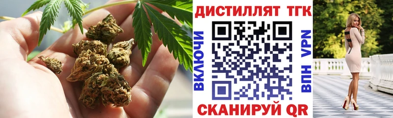 цена наркотик  Сковородино  ТГК гашишное масло 
